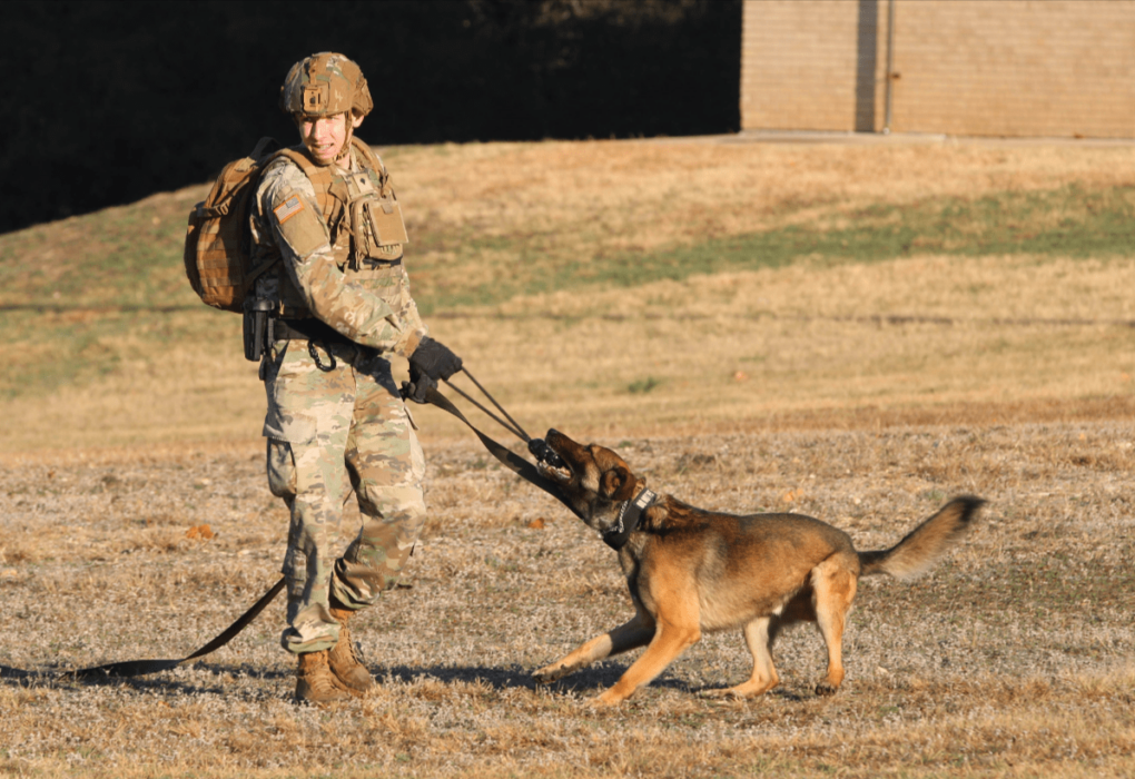 Working Dogs